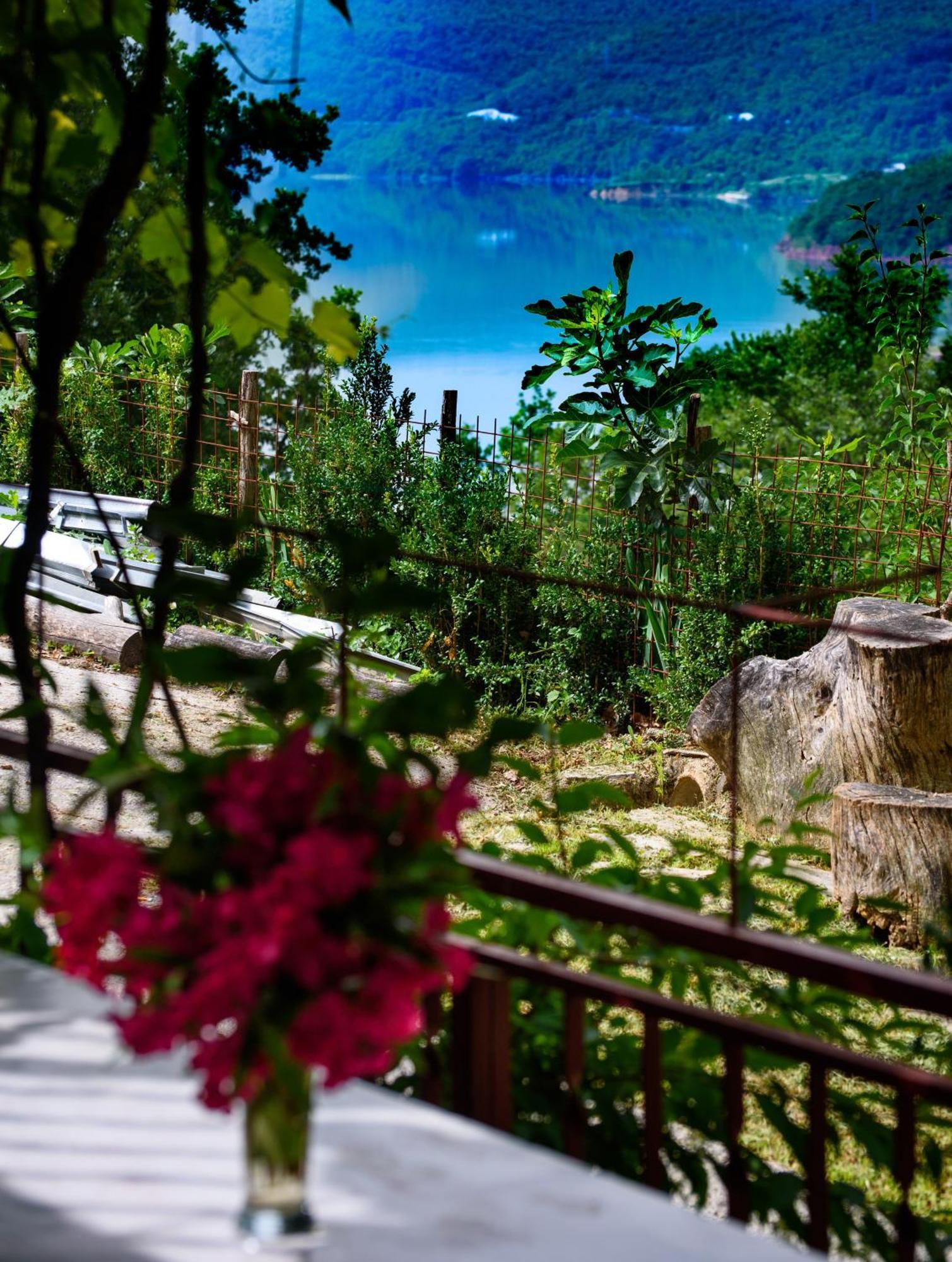 Cvitini Dvori Garjak Apartment