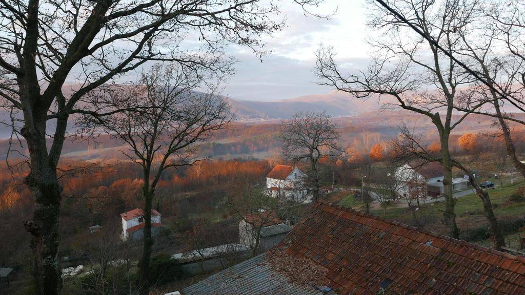 Cvitini Dvori Garjak Apartment *